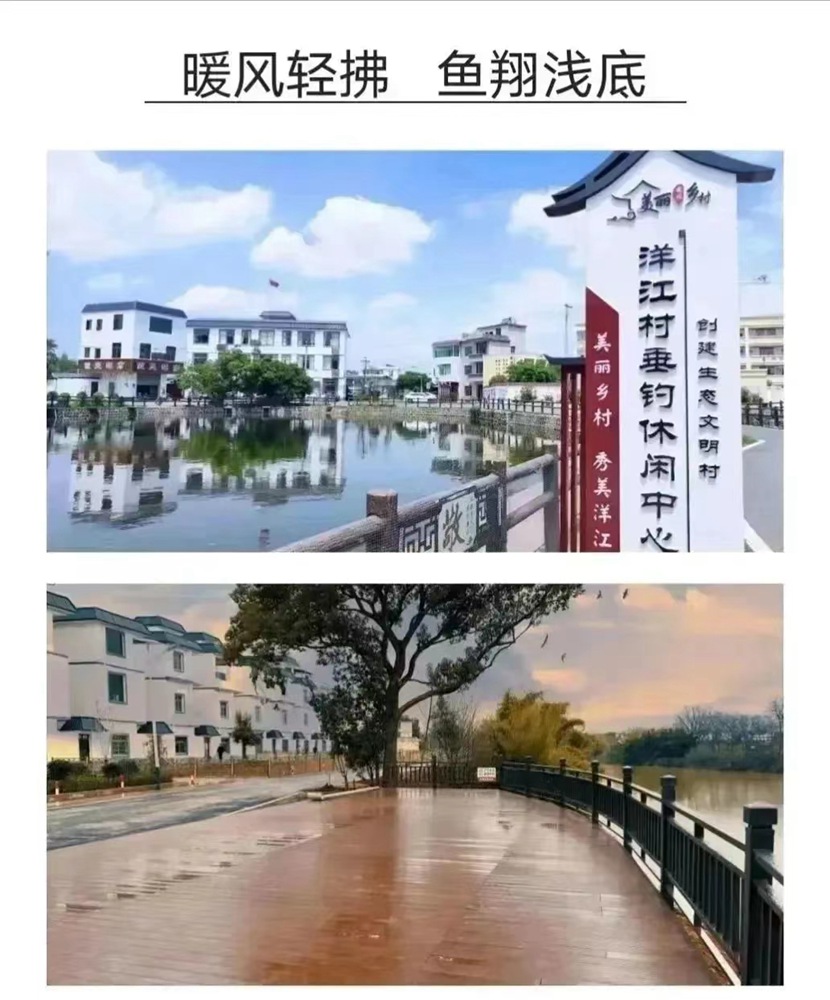 镜坝镇洋江示范村建设项目